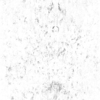 1/4 ”FEBE”